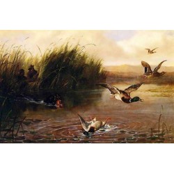 Duck Shooting  By Arthur...
