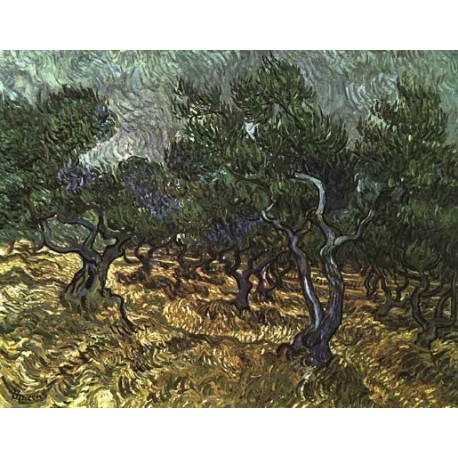 The Olive Grove by Vincent Van Gogh -  Art gallery oil painting reproductions