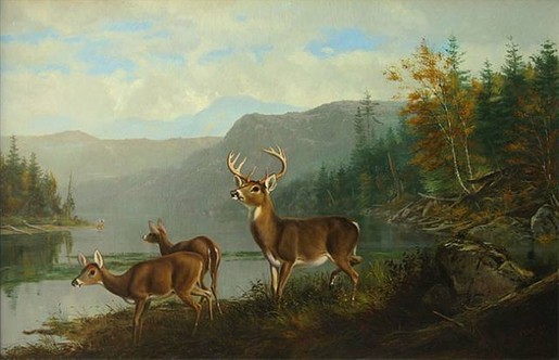 deer landscape