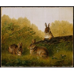 Rabbits on a Log  By Arthur Fitzwilliam Tait - Art gallery oil painting reproductions