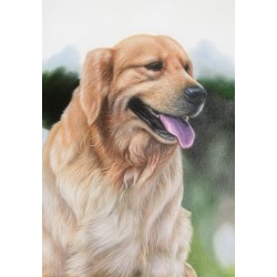 Dog  Oil Painting 2 - Art...