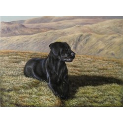 Dog Oil Painting 6 - Art Gallery  Oil Painting Reproductions