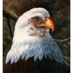 Wild Life  Oil Painting 1...