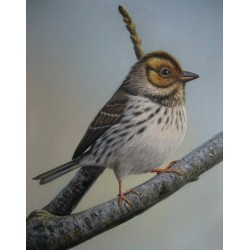 Wild Life Oil Painting 10 -...