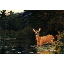 Solitude by Winslow Homer -...