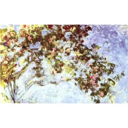 Roses by Claude Oscar Monet...